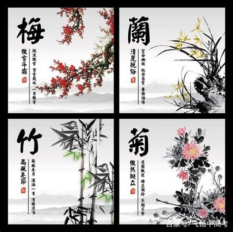 梅蘭竹菊春夏秋冬|花中四君子